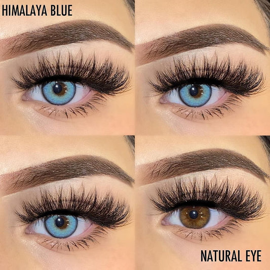 Himalaya Blue | 1 Year